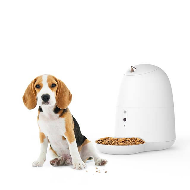 創(chuàng)意產品設計案例——寵物喂食器